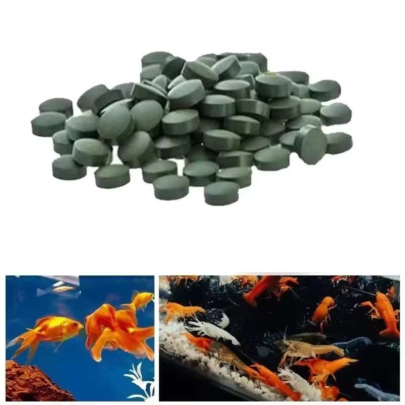 Aquarium Fish Holiday Food - 100-3000개의 고순도 스피루리나 정제는 스피루리나가 풍부합니다.