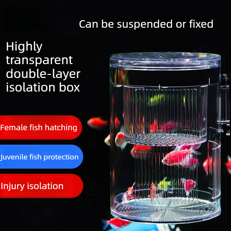 Aquarium Fish Parrot - 아크릴 사육 상자 수족관 물고기 탱크