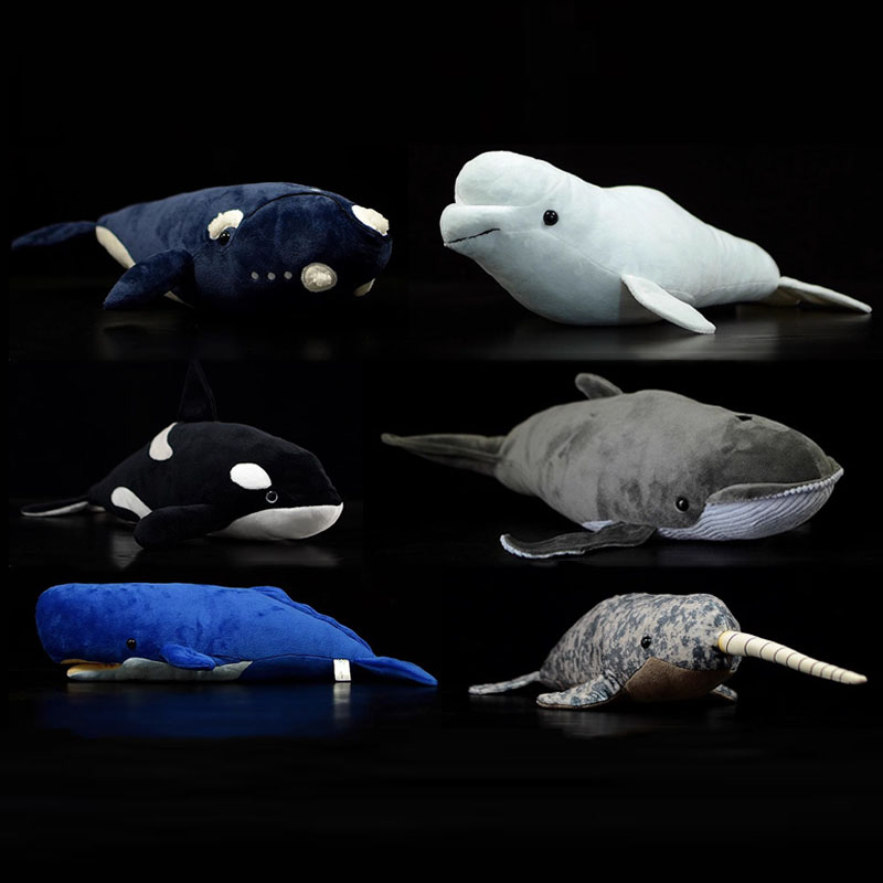 Wild Aquarium Fish - 모형 동물 킬러 베일린 백색 정자고래