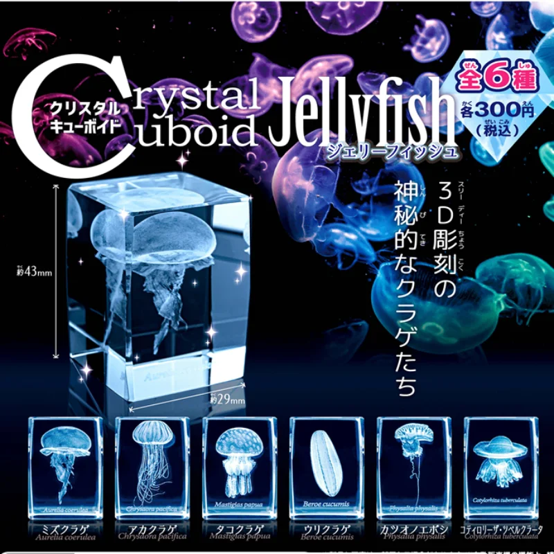 Aquarium Fish Keeping - 일본 가샤폰 해파리 3D 크리스탈 직육면체