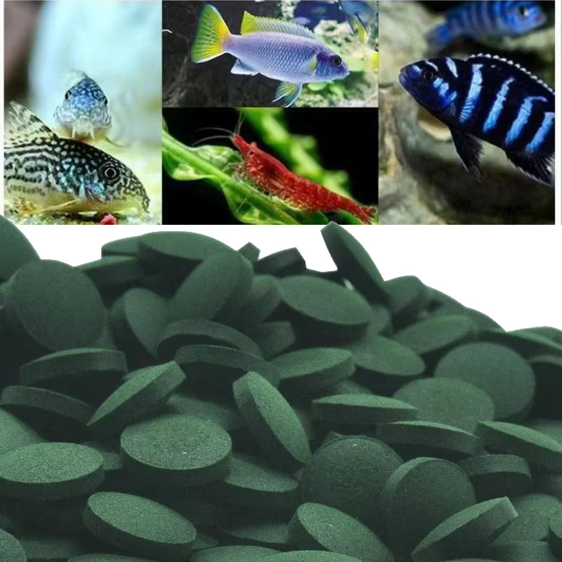 Aquarium Fish Holiday Food - 50/100/300/500개 스피루리나 정제 나선형 해조류 농축물