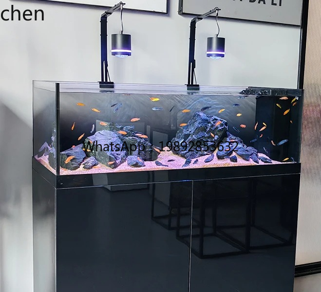 Wild Aquarium Fish - 스트림 탱크 네이티브 와일드 컬렉션 쓰리
