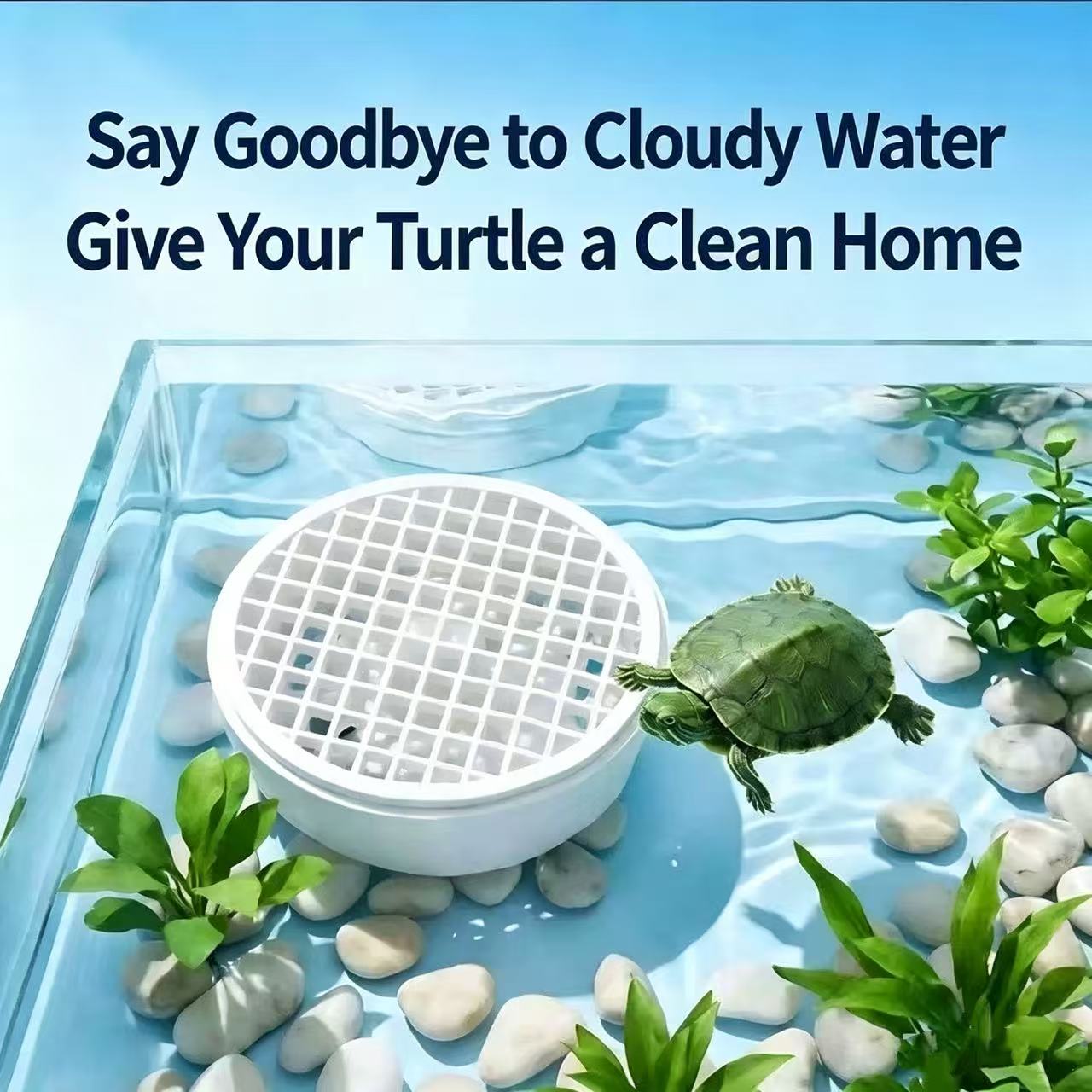 Aquarium Fish Keeping - 거북이 배설물 수집기 분리형 수족관 거북이