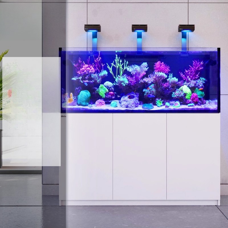 Aquarium Fish And Price - 2026년 핫세일 도매가격 신제품 냉동고형 G3