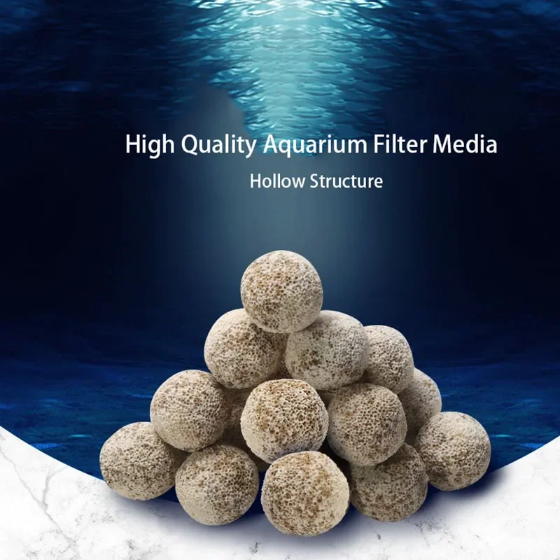 Aquarium Fish Quality - 10pcs 20pcs 고품질 수족관 바이오 공