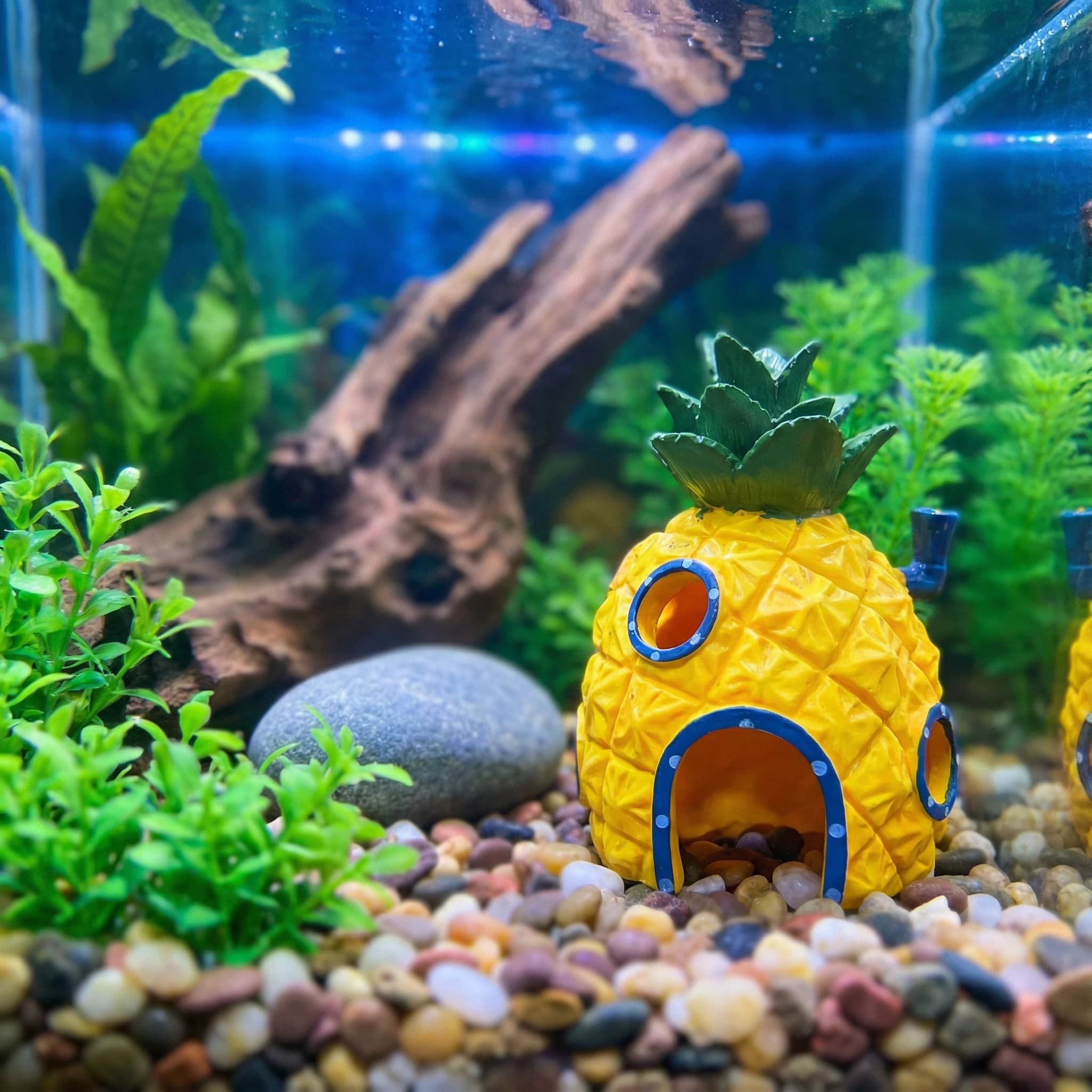 Aquarium Fish Hide - 파인애플 하우스 수족관 장식, 친환경 레진