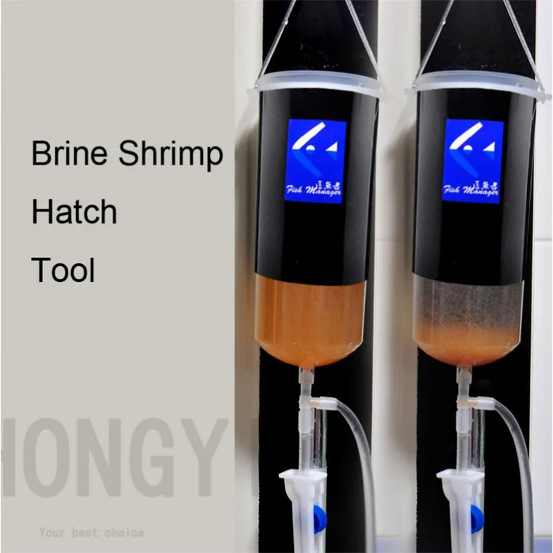 Aquarium Fish Holiday Food - 요정 새우 계란 아르테미아 살아있는 쉬운