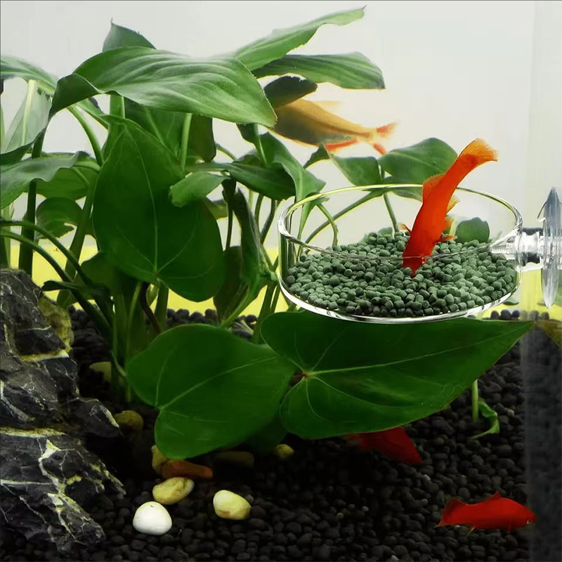 Aquarium Fish Holiday Food - 투명 아크릴 투명 물고기 먹이통(흡착컵 포함)