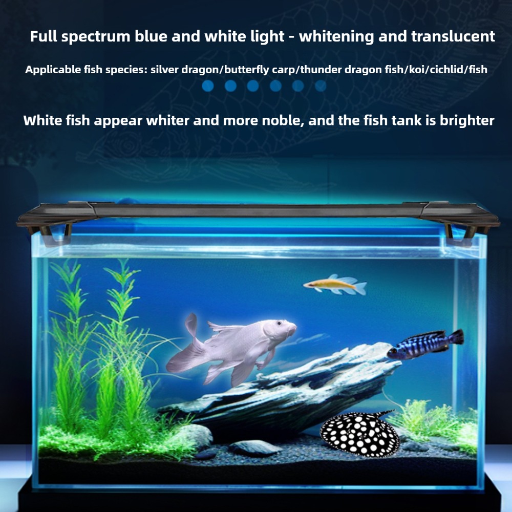 수족관 LED 라이트 바 2피트/3피트/4피트 풀 스펙 - Aquarium Fish Parrot 리뷰 및 가격