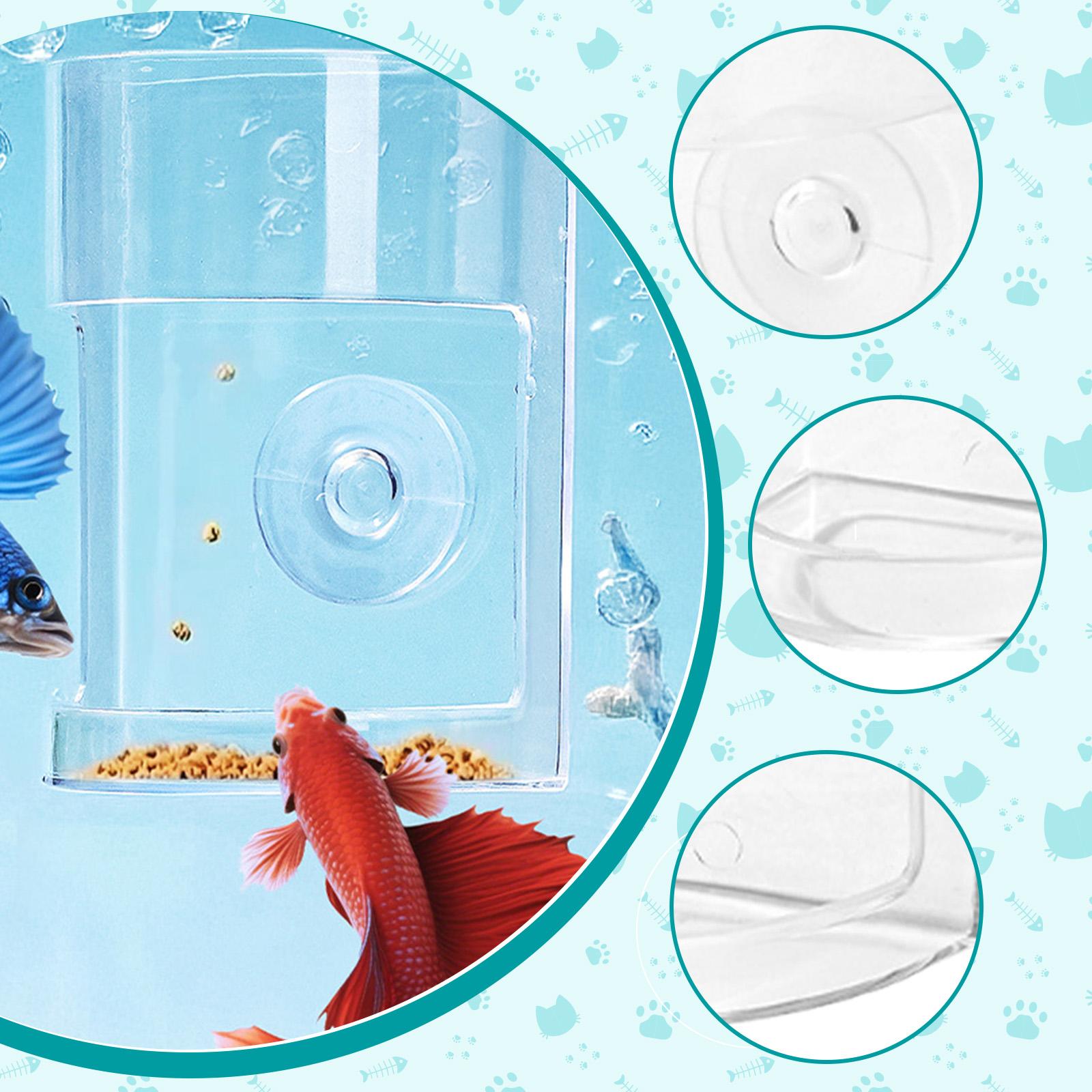 어항용 자동 급식기 투명 PS 플로팅 급식 링 벌레 접 - Aquarium Fish Keeping 리뷰 및 가격