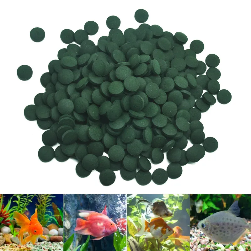 100pcs 고순도 스피루리나 정제 나선형 해초 농축  - Aquarium Fish Holiday Food 리뷰 및 가격