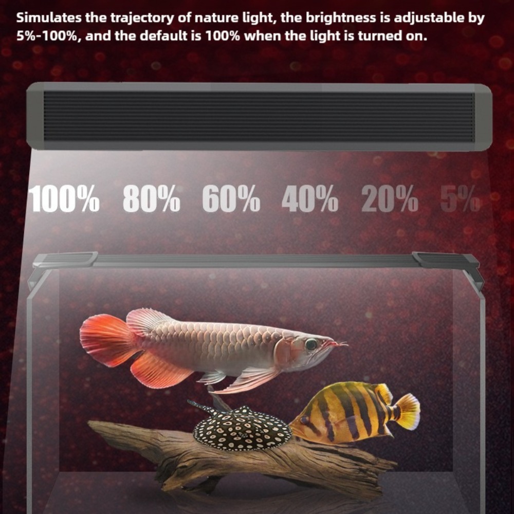 아쿠아리움 LED 조명, 디밍 가능한 어항 조명 아로와 - Aquarium Fish Parrot 리뷰 및 가격
