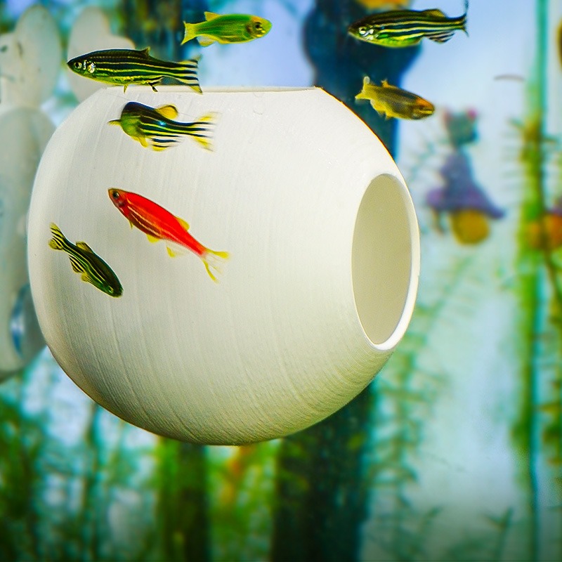 수족관 창의적인 장식품 3D 프린팅 구형 쉼터 동굴 물 - Aquarium Fish Parrot 리뷰 및 가격