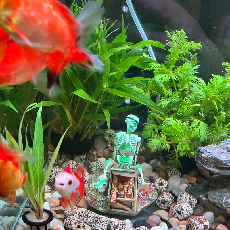 어항 에어로빅 랜드스케이프 버블 에어 펌프 재미있는 어 - Aquarium Fish Cartoon 리뷰 및 가격