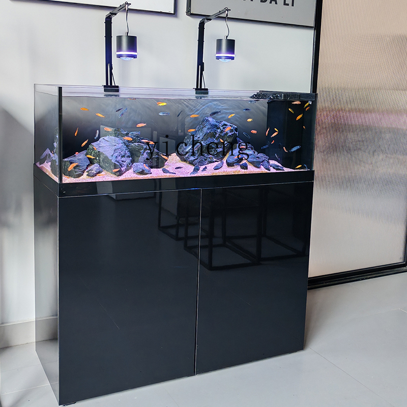 U1 네이티브 와일드 스트림 탱크 산후 시클리드 어항  - Wild Aquarium Fish 리뷰 및 가격