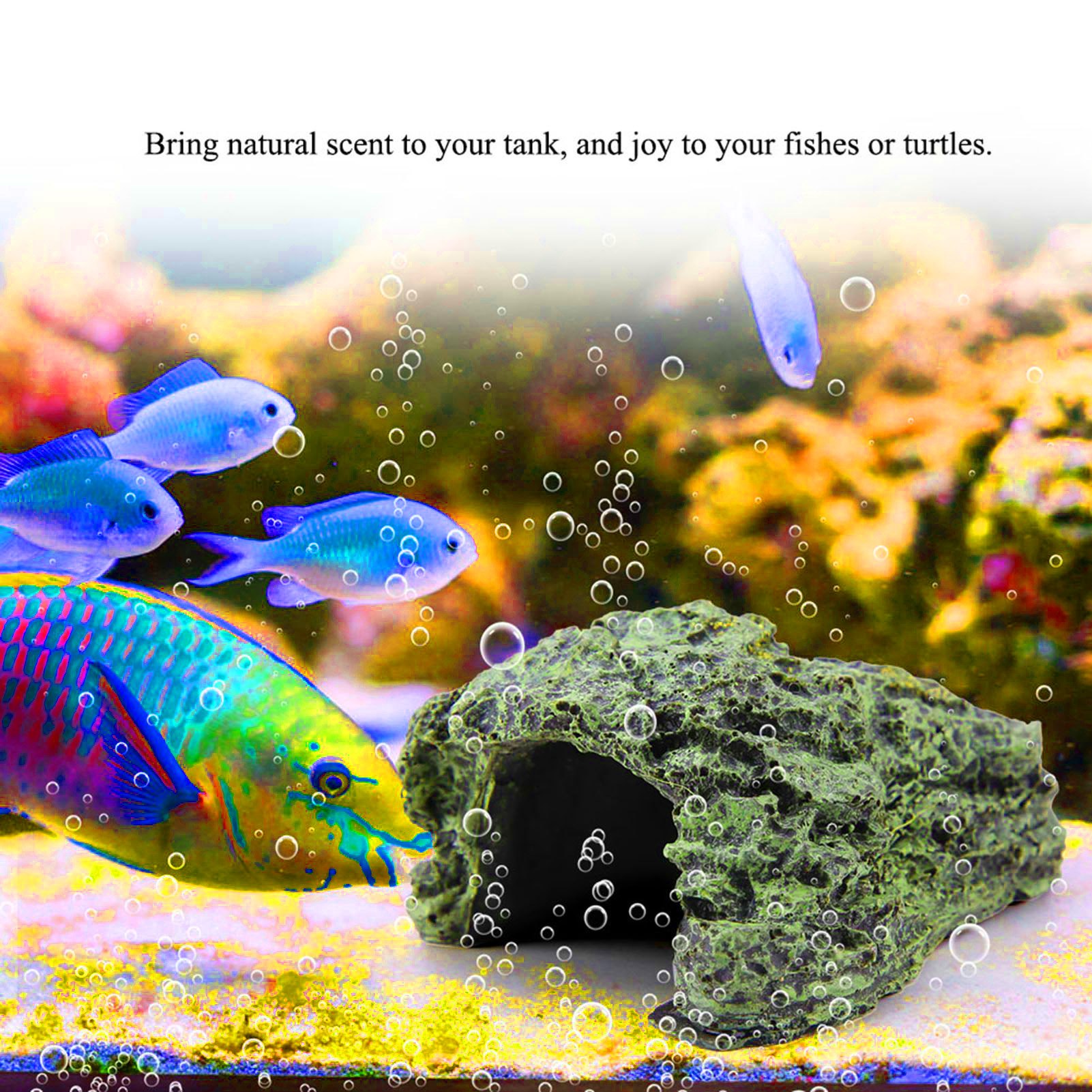 파충류 은신처 동굴 거북이 일광욕 쉼터 수족관 물고기  - Aquarium Fish Hide 리뷰 및 가격