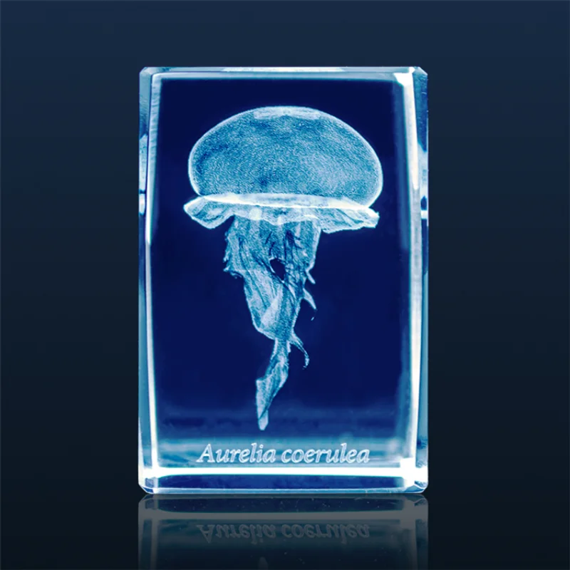 일본 가샤폰 해파리 3D 크리스탈 직육면체 바위 어항  - Aquarium Fish Keeping 리뷰 및 가격