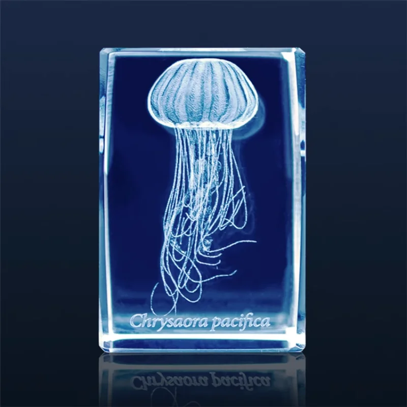 일본 가샤폰 해파리 3D 크리스탈 직육면체 바위 어항  - Aquarium Fish Keeping 리뷰 및 가격