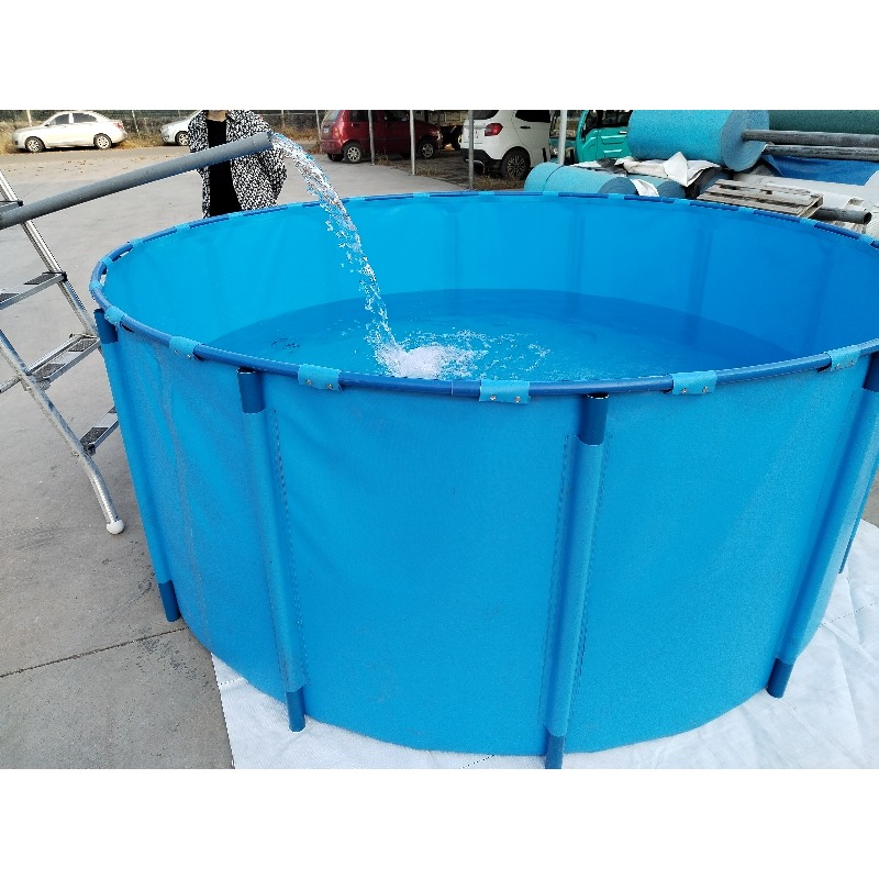 고도의 지속 가능성과 저렴한 가격을 자랑하는 실내용 블 - Aquarium Fish And Price 리뷰 및 가격