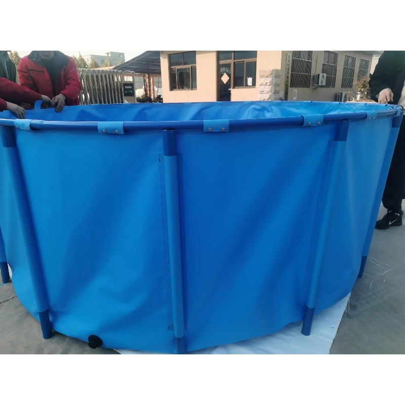 고도의 지속 가능성과 저렴한 가격을 자랑하는 실내용 블 - Aquarium Fish And Price 리뷰 및 가격