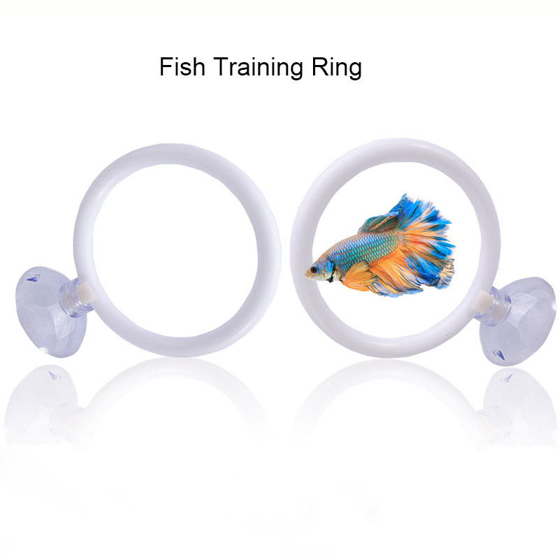 1개 플라스틱 어항 수족관 인공 훈련 링 후프 세트 ( - Aquarium Fish Hide 리뷰 및 가격