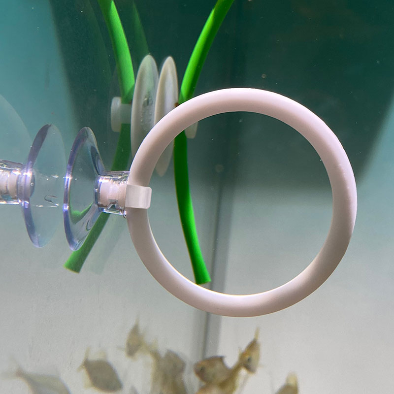 1개 플라스틱 어항 수족관 인공 훈련 링 후프 세트 ( - Aquarium Fish Hide 리뷰 및 가격