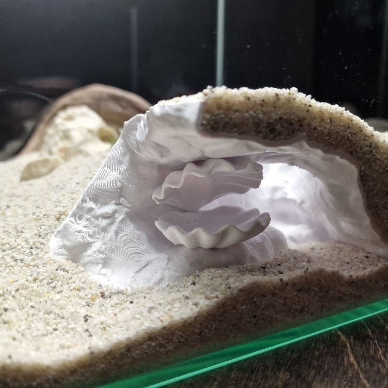 숨겨진 조개껍데기 모양 어항 동굴 3D 프린팅, 작은  - Aquarium Fish Hide 리뷰 및 가격