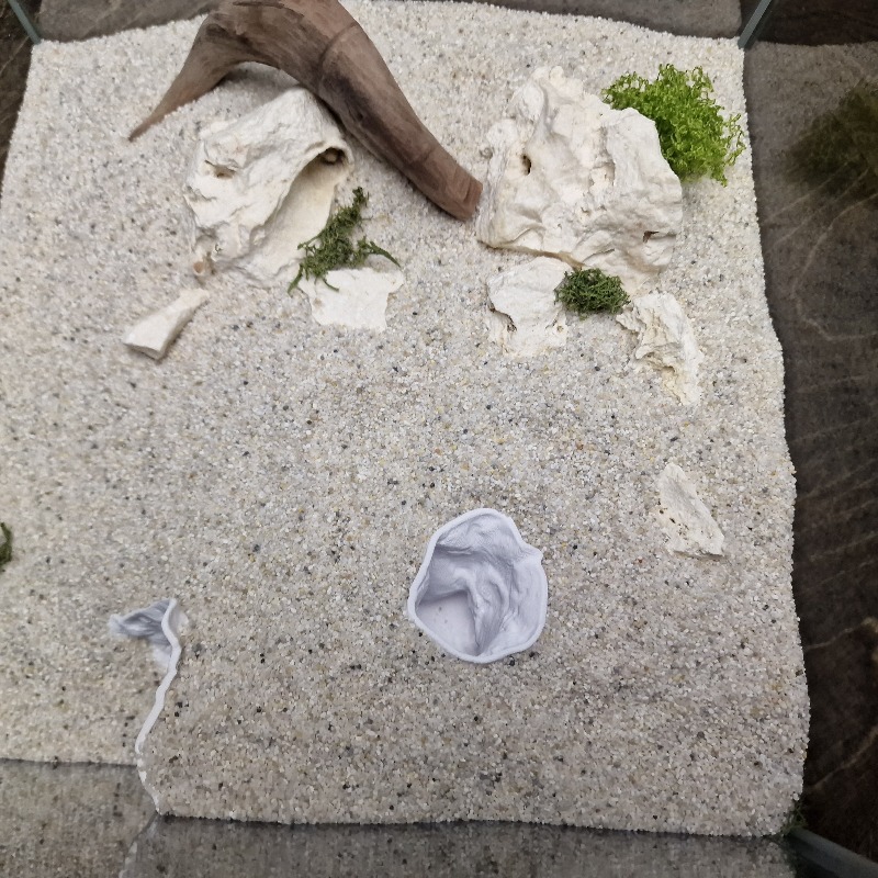 숨겨진 조개껍데기 모양 어항 동굴 3D 프린팅, 작은  - Aquarium Fish Hide 리뷰 및 가격