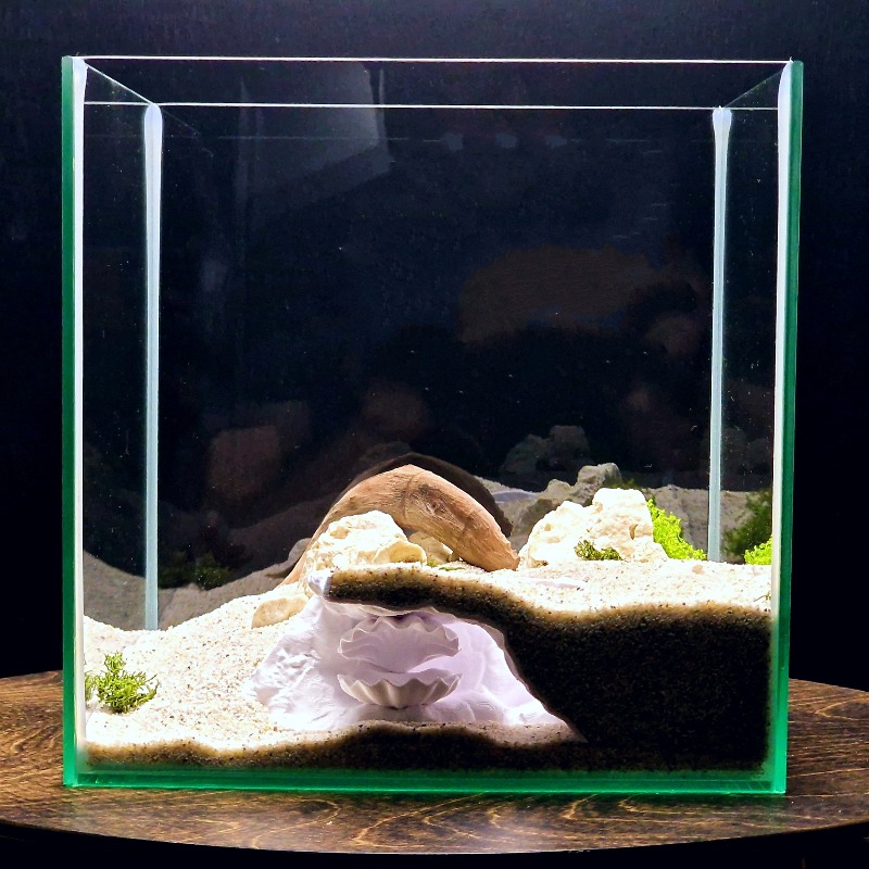 숨겨진 조개껍데기 모양 어항 동굴 3D 프린팅, 작은  - Aquarium Fish Hide 리뷰 및 가격