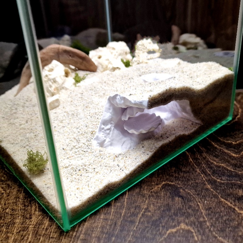 숨겨진 조개껍데기 모양 어항 동굴 3D 프린팅, 작은  - Aquarium Fish Hide 리뷰 및 가격