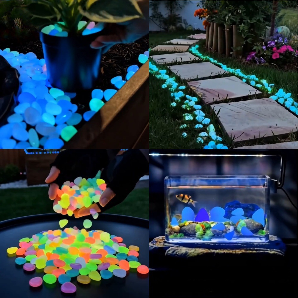 다채로운 야광 조약돌 정원석, 야외 정원 통로, 어항, - Aquarium Fish Cartoon 리뷰 및 가격