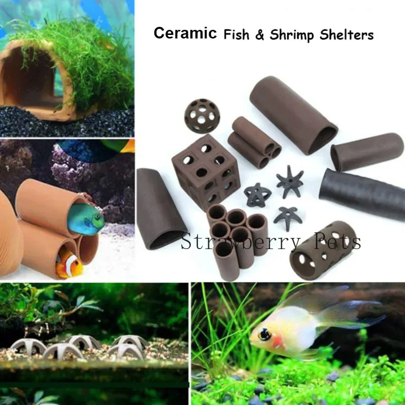 세라믹 수족관 장식 물고기 새우 보호소 집 도자기 전갈 - Aquarium Fish Hiding Places 리뷰 및 가격