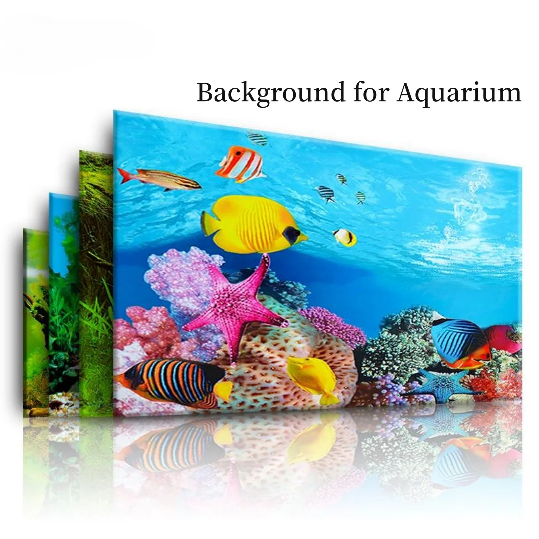 배경 수족관 3D 스티커 포스터 장식, 어항 해양 식물 - Aquarium Fish Cartoon 리뷰 및 가격