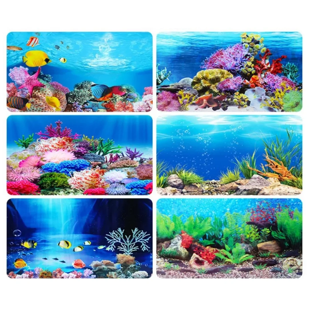 배경 수족관 3D 스티커 포스터 장식, 어항 해양 식물 - Aquarium Fish Cartoon 리뷰 및 가격