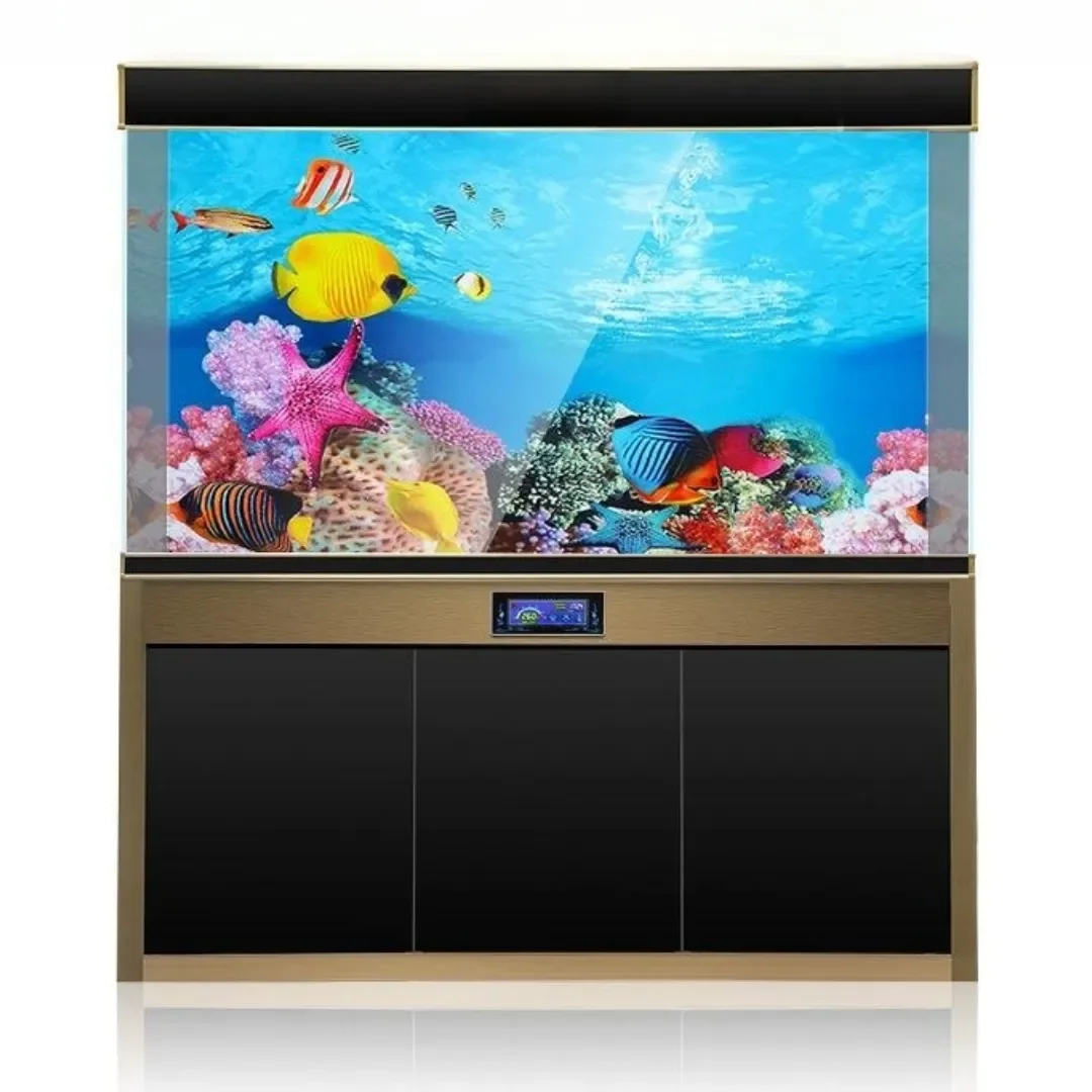 배경 수족관 3D 스티커 포스터 장식, 어항 해양 식물 - Aquarium Fish Cartoon 리뷰 및 가격