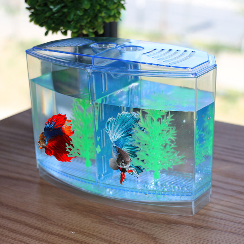 독창적인 물고기 탱크 격리 상자, 흰색 아크릴 수족관  - Aquarium Fish Keeping 리뷰 및 가격