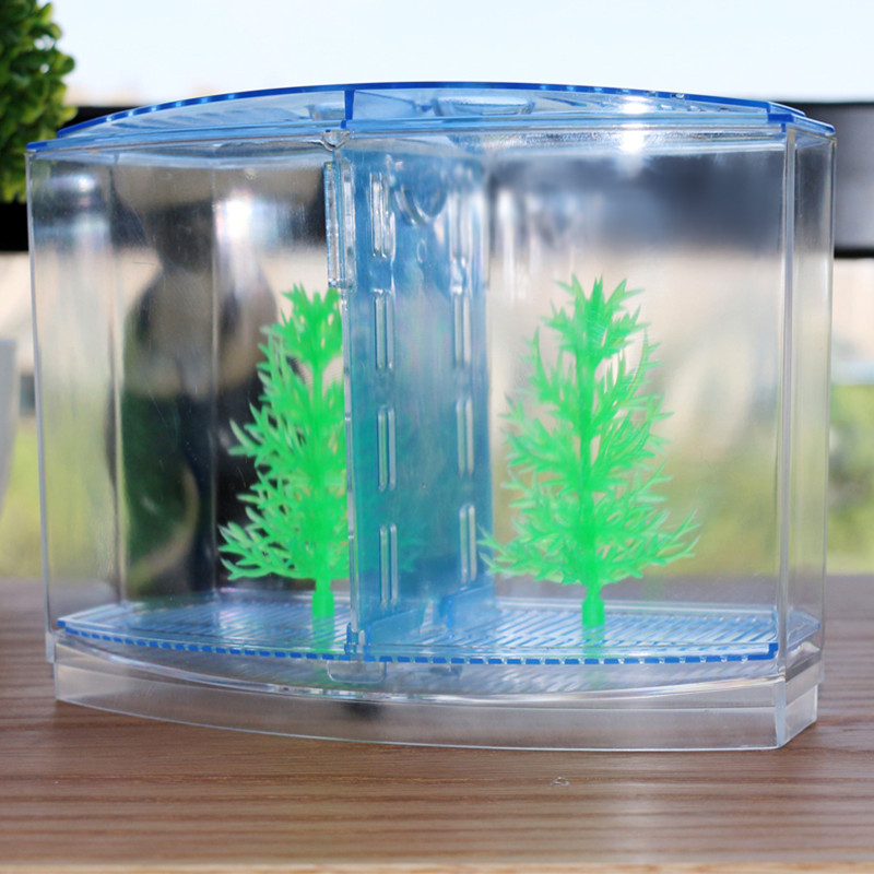 독창적인 물고기 탱크 격리 상자, 흰색 아크릴 수족관  - Aquarium Fish Keeping 리뷰 및 가격