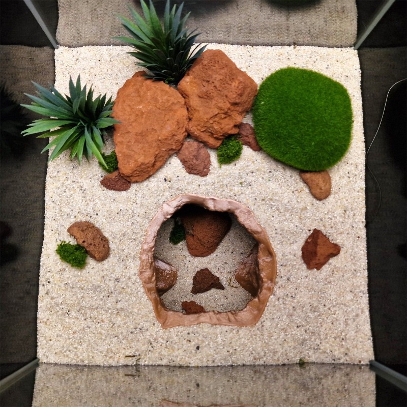 싱크홀 동굴 수족관 장식품 - 파충류 양서류 테라리움을 - Aquarium Fish Hiding Places 리뷰 및 가격