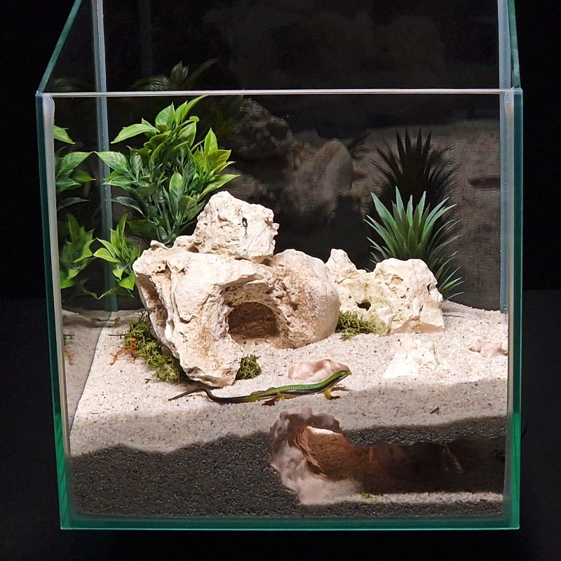 3D 프린팅 어항 터널 쉼터 수족관 장식 소형 물고기, - Aquarium Fish Hide 리뷰 및 가격