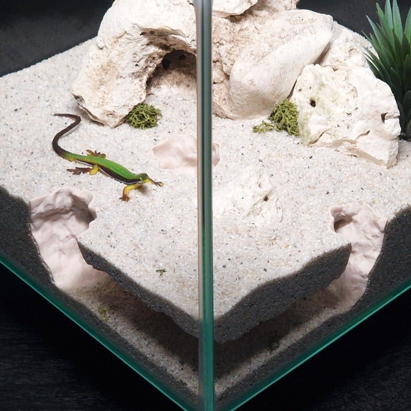 3D 프린팅 어항 터널 쉼터 수족관 장식 소형 물고기, - Aquarium Fish Hide 리뷰 및 가격