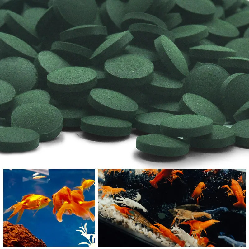 50-300개 고순도 스피룰리나 정제 나선형 해조류 강 - Aquarium Fish Holiday Food 리뷰 및 가격