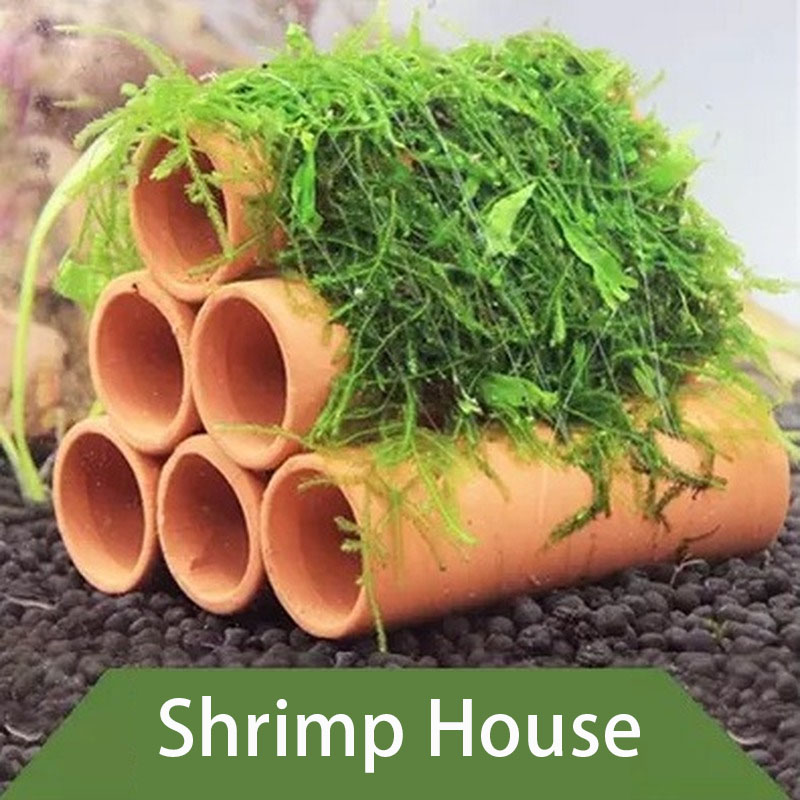 점토 수족관 장식 물고기 새우 놀이 숨어있는 동굴 대피 - Aquarium Fish Hide 리뷰 및 가격