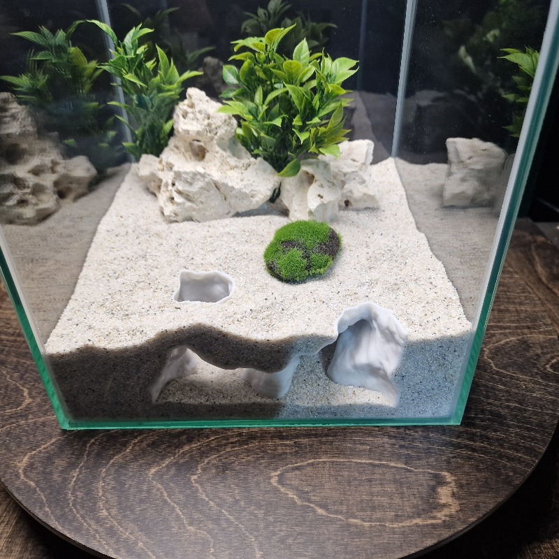 프리미엄 3D 프린트 해변 모래 수족관 동굴 쉼터 물고 - Aquarium Fish Hide 리뷰 및 가격
