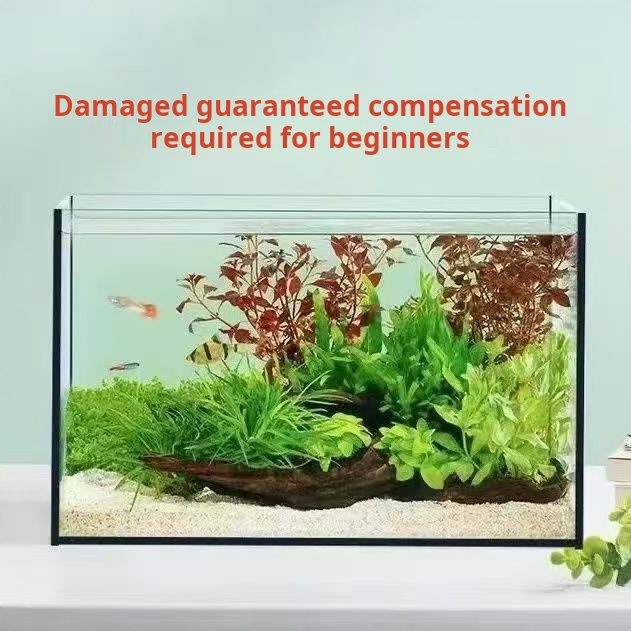 초투명 대형 직사각형 유리 수족관 맞춤형 용량 전기식  - Aquarium Fish Keeping 리뷰 및 가격