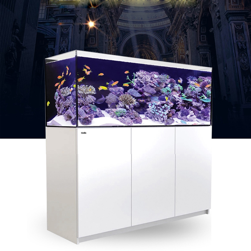 2026년 핫세일 도매가격 신제품 냉동고형 G3 + 전 - Aquarium Fish And Price 리뷰 및 가격