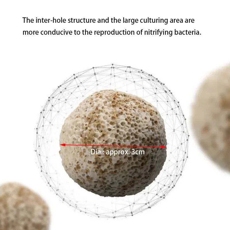 10pcs 20pcs 고품질 수족관 바이오 공 생화학  - Aquarium Fish Quality 리뷰 및 가격