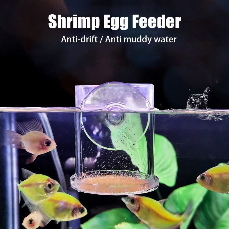 투명 Arcylic 수족관 물고기 먹이 컵 반지 안티  - Aquarium Fish Holiday Food 리뷰 및 가격