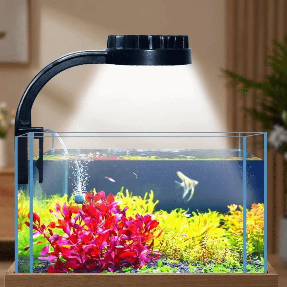 고휘도 수족관 클립 램프 미니 클립 조명 에너지 효율적 - Aquarium Fish Keeping 리뷰 및 가격