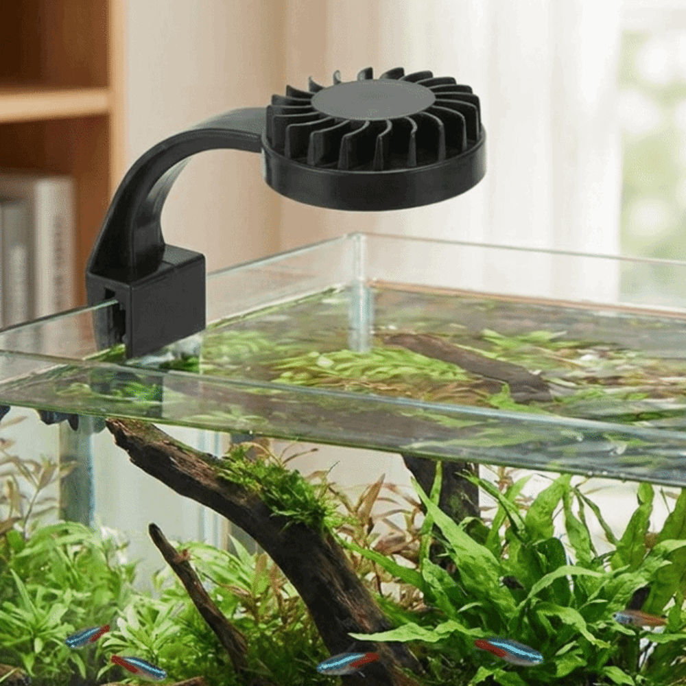 고휘도 수족관 클립 램프 미니 클립 조명 에너지 효율적 - Aquarium Fish Keeping 리뷰 및 가격