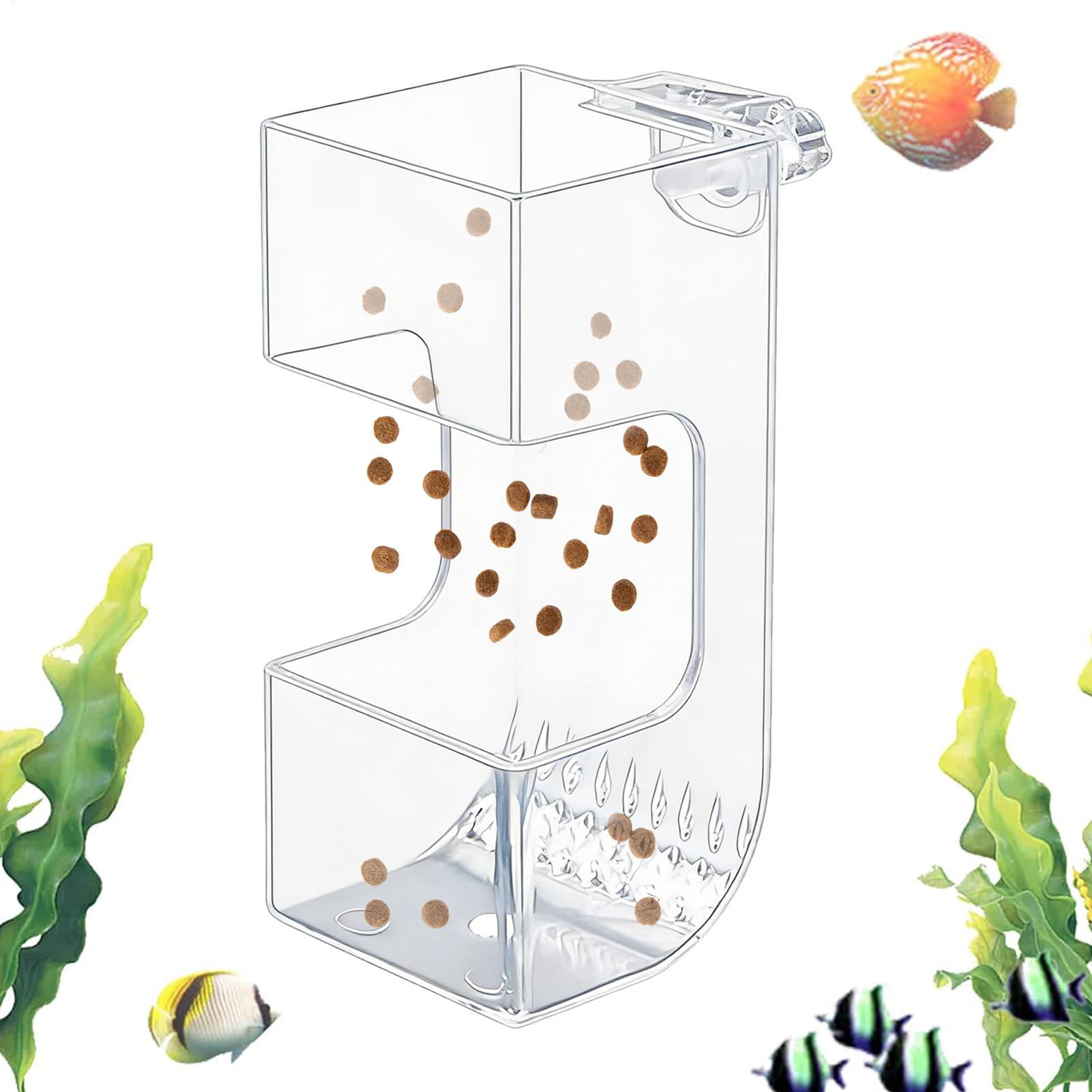 어항 물고기 먹이통 투명 사료통 물고기 먹이통 접시 그 - Aquarium Fish Holiday Food 리뷰 및 가격